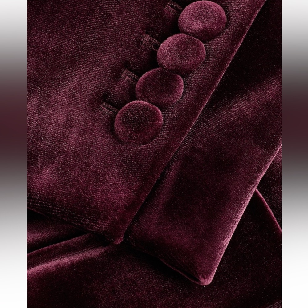 Velvet Blazer - Picture 9 of 10